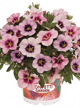 Набор  Confetti Garden Bloomtastic Blossoms (1 шт)