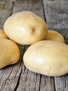 Картофель Коннект (5 кг)