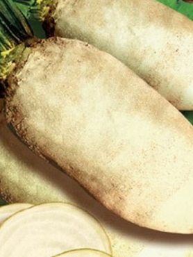 Буряк кормовий Центаур Полі (1 кг)