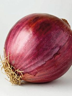 Лук репчатый Бронзовый Шар синий (1 г)