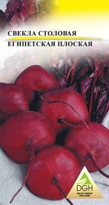 Буряк столовий Єгипетська плоска (50 г) - 1