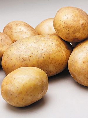 Картофель Ривьера (2,5 кг) - 1