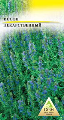 Зеленные Иссоп лекарственный Sсhira Blue (0,5 г) - 1