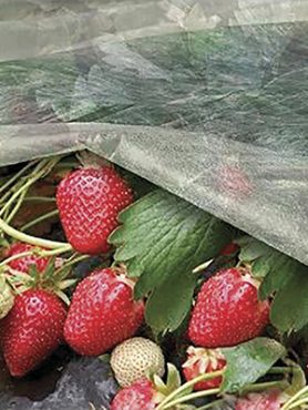 Агроволокно, плотность 17 г/м2, ширина 3,2 м (белый) 10 м (1 шт)