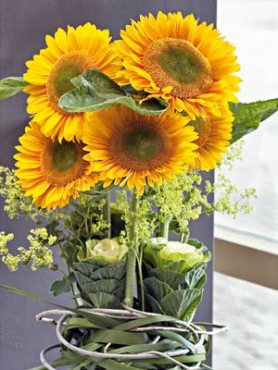Соняшник однорічний Sunrich Gold F1 (10 шт)