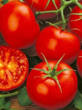 Томат низкорослый Северная королева (0,3 г)