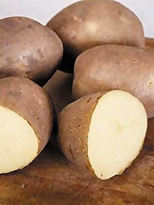 Картофель Инноватор (1 кг) - 1