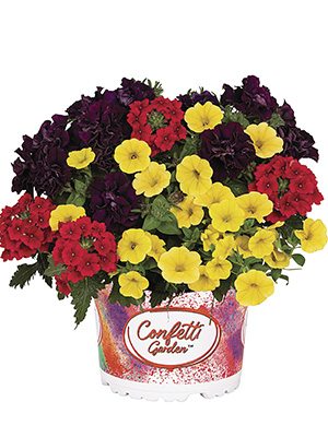 Набор  Confetti Garden Hippie (1 шт)