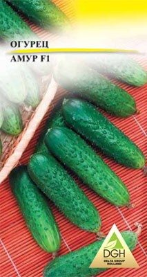 Огірок Амур F1 (100 шт) - 1