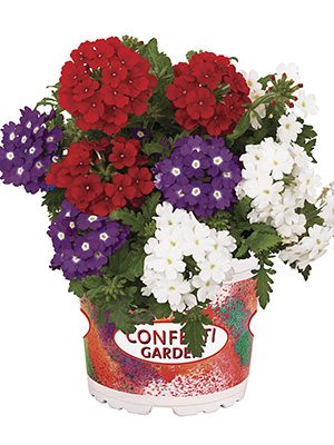 Набор  Confetti Garden Linda Liberty (1 шт)