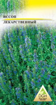 Зеленные Иссоп лекарственный Sсhira Blue (0,5 г)