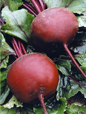 Свекла столовая Бордо (50 г)