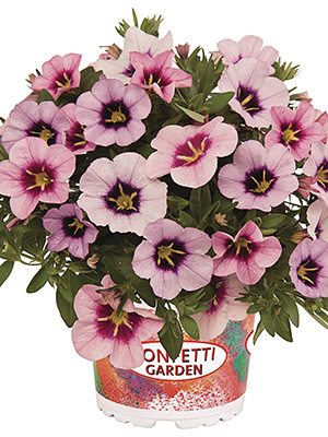 Набор  Confetti Garden Bloomtastic Blossoms (1 шт)