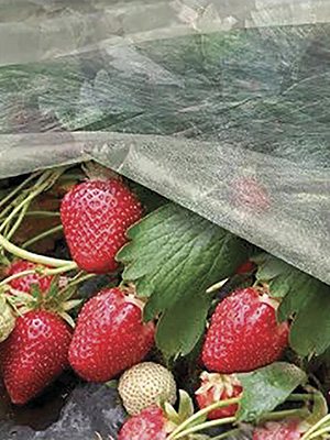 Агроволокно, плотность 17 г/м2, ширина 3,2 м (белый) 10 м (1 шт) - 1