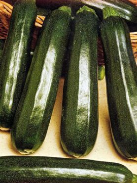 Кабачок Дракоша (2 г)