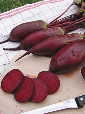 Буряк столовий Ренова (50 г)